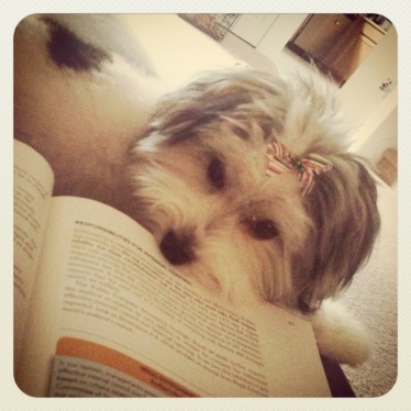Studying with Winnie